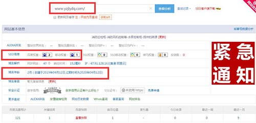 揭秘SEO快排原理 SEO優(yōu)化 網(wǎng)站優(yōu)化 SEO 經(jīng)驗(yàn)心得 第1張