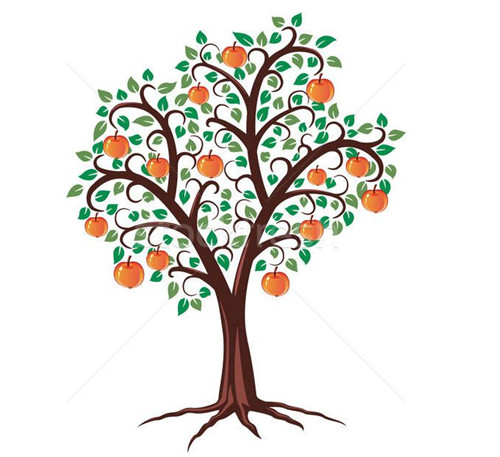 SEM和SEO的定義，SEM和SEO的區別？